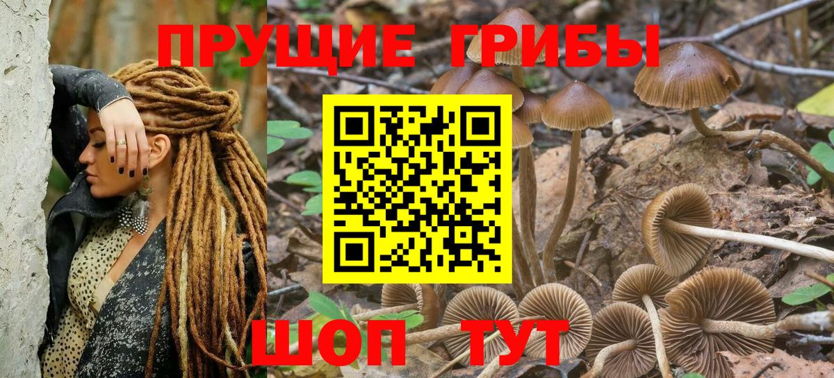Галлюциногенные грибы Psilocybine cubensis  Вход с VPN  Курчалой  Псилоцибиновые грибы ЛСД 
