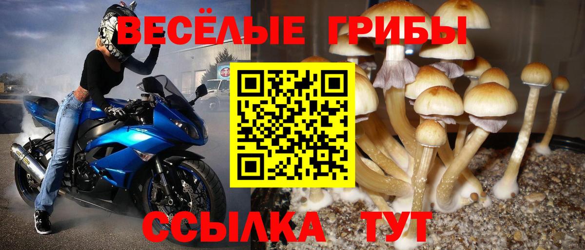 Курчалой  ГАШ  Вход с VPN  Конопля  МЕТАМФЕТАМИН  Меф   КЕТАМИН  НБОМе  МЕФ  Бошки Шишки  Гашиш  КОКАИН 